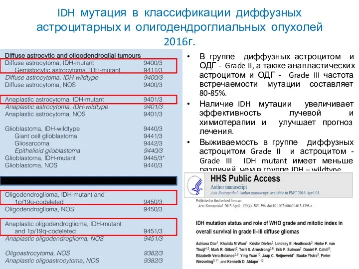 IDH мутация в классификации диффузных астроцитарных и олигодендроглиальных опухолей 2016г. В группе