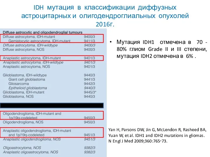 IDH мутация в классификации диффузных астроцитарных и олигодендроглиальных опухолей 2016г. Мутация IDH1