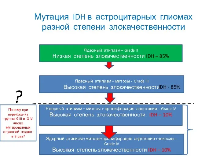 Ядерный атипизм – Grade II Низкая степень злокачественности IDH – 85% Ядерный