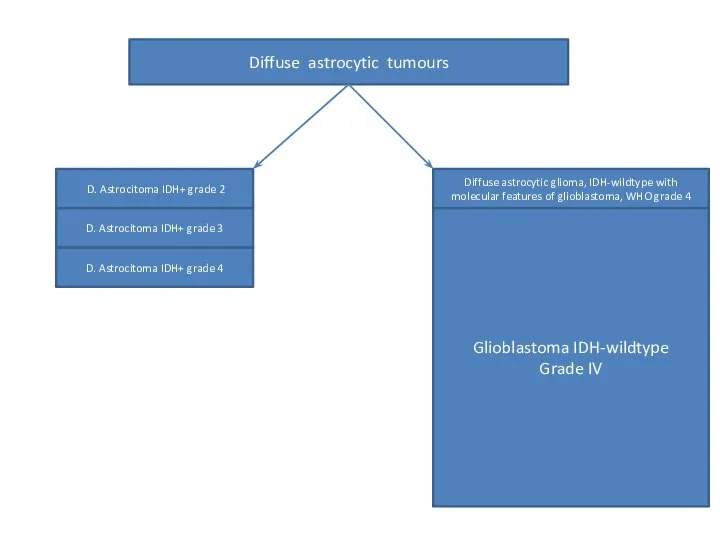 Diffuse astrocytic tumours D. Astrocitoma IDH+ grade 2 D. Astrocitoma IDH+ grade