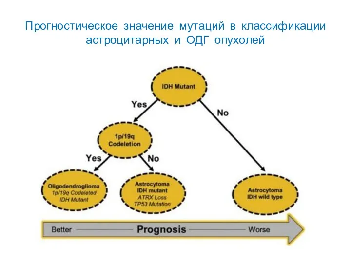 Прогностическое значение мутаций в классификации астроцитарных и ОДГ опухолей