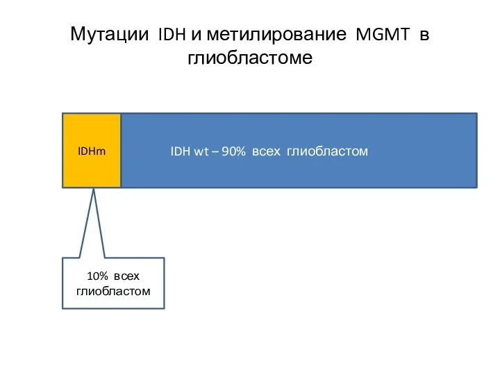 IDH wt – 90% всех глиобластом IDHm Мутации IDH и метилирование MGMT