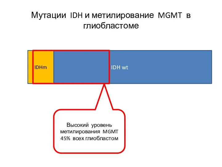 IDH wt IDHm Мутации IDH и метилирование MGMT в глиобластоме Высокий уровень