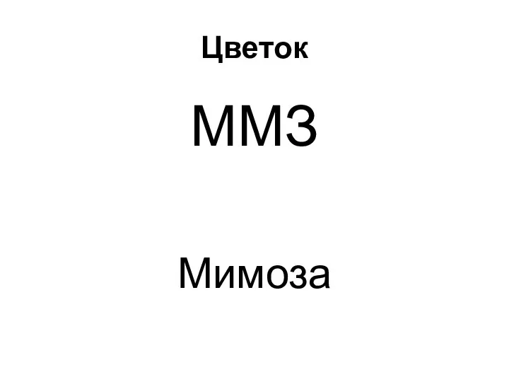 Цветок ММЗ Мимоза