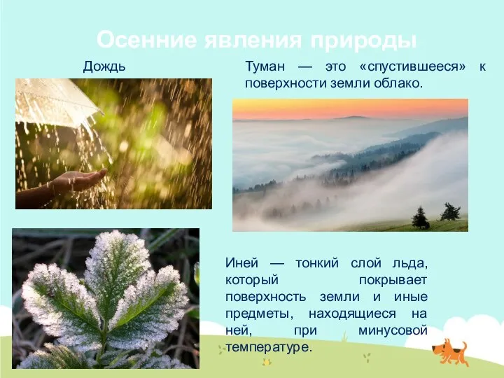 Осенние явления природы Туман — это «спустившееся» к поверхности земли облако. Дождь