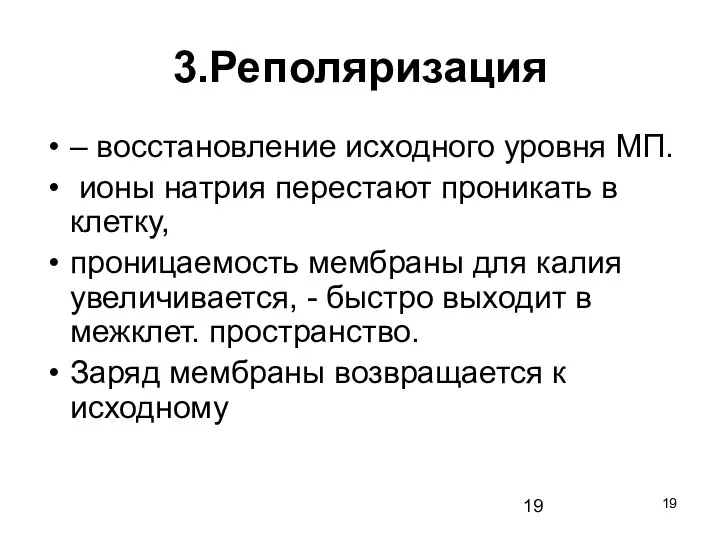 3.Реполяризация – восстановление исходного уровня МП. ионы натрия перестают проникать в клетку,