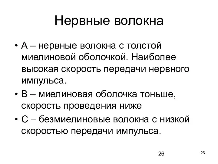 Нервные волокна А – нервные волокна с толстой миелиновой оболочкой. Наиболее высокая