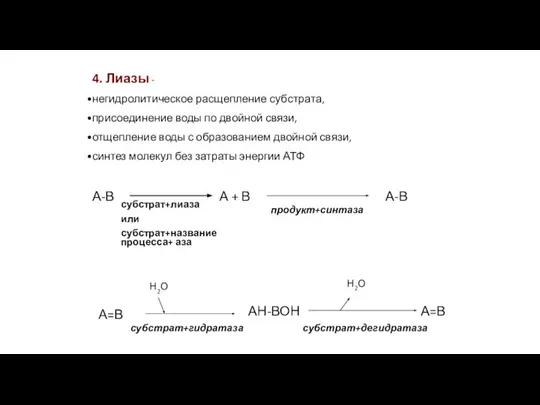 4. Лиазы - негидролитическое расщепление субстрата, присоединение воды по двойной связи, отщепление