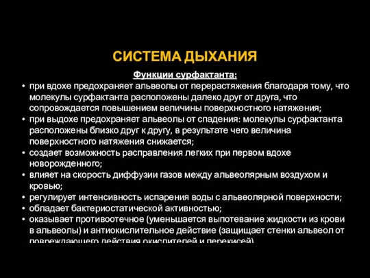 СИСТЕМА ДЫХАНИЯ Функции сурфактанта: при вдохе предохраняет альвеолы от перерастяжения благодаря тому,