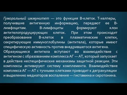 Гуморальный иммунитет — это функция B-клеток. Т-хелперы, получившие антигенную информацию, передают ее