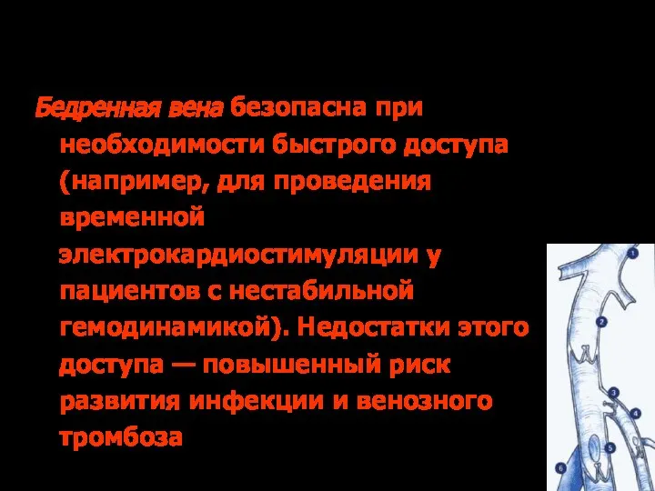 Бедренная вена безопасна при необходимости быстрого доступа (например, для проведения временной электрокардиостимуляции