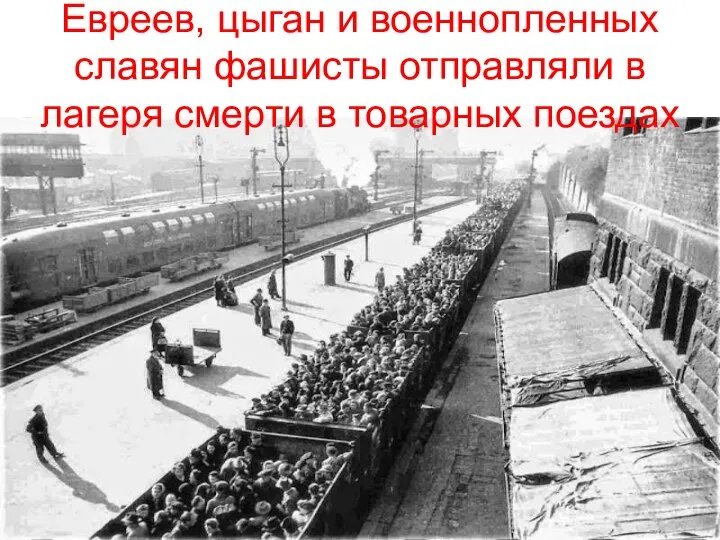 Евреев, цыган и военнопленных славян фашисты отправляли в лагеря смерти в товарных поездах