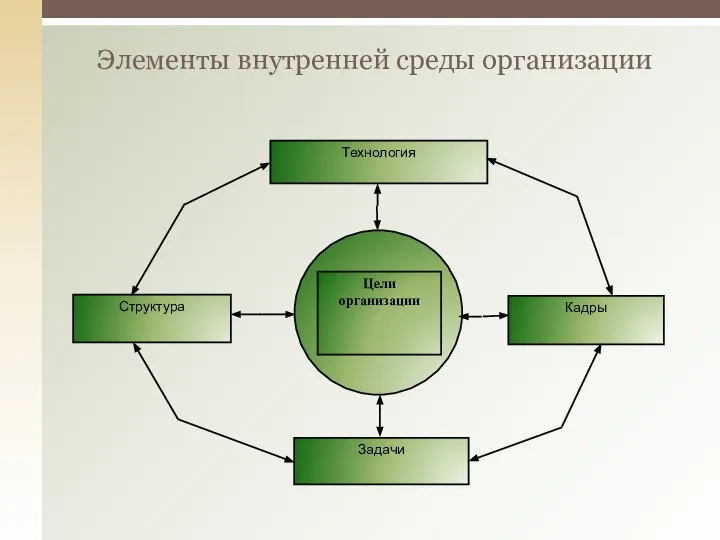 Элементы внутренней среды организации