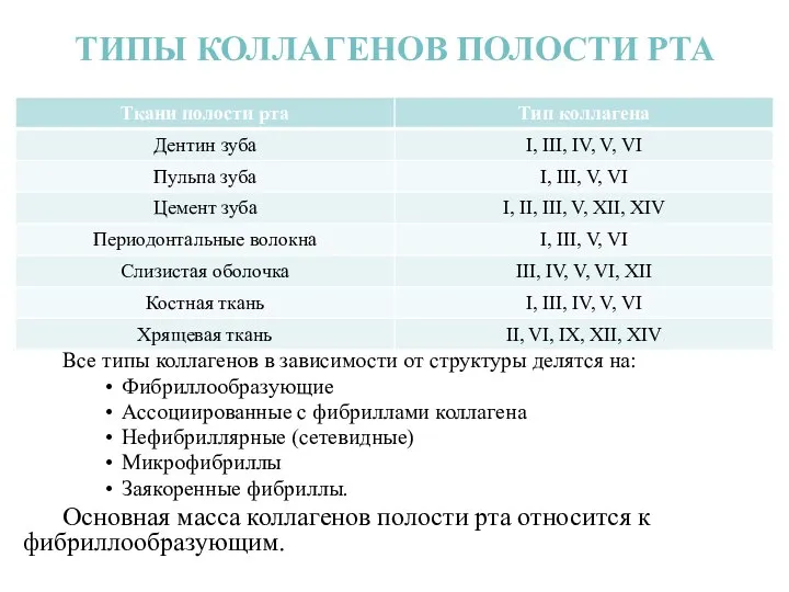 ТИПЫ КОЛЛАГЕНОВ ПОЛОСТИ РТА Все типы коллагенов в зависимости от структуры делятся