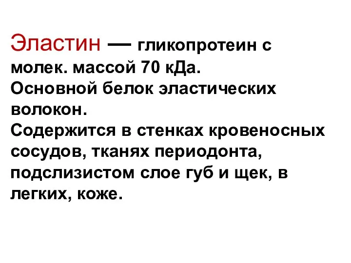 Эластин — гликопротеин с молек. массой 70 кДа. Основной белок эластических волокон.