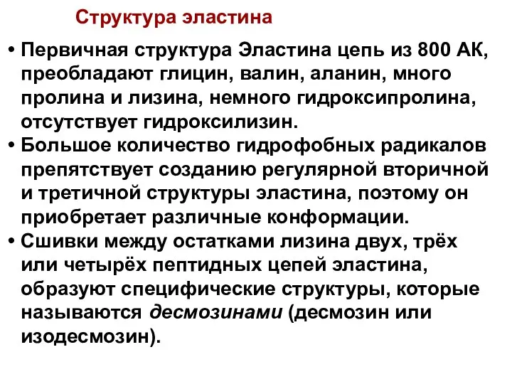 Первичная структура Эластина цепь из 800 АК, преобладают глицин, валин, аланин, много