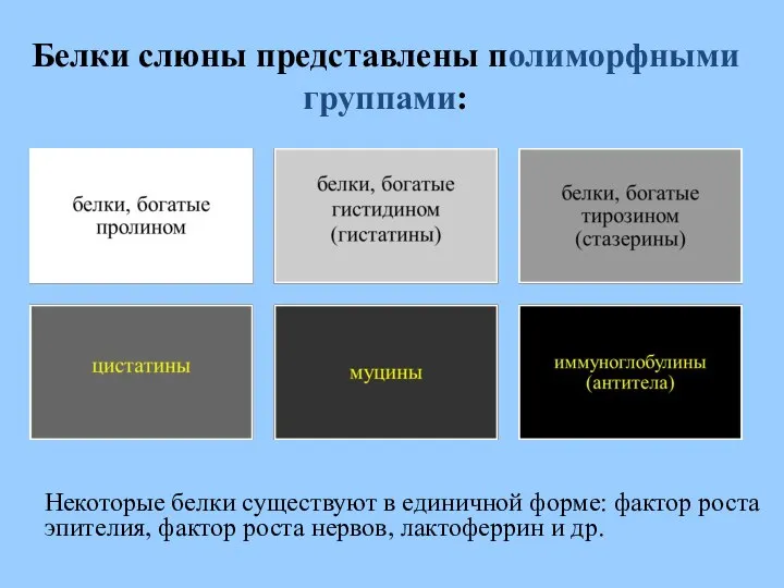 Белки слюны представлены полиморфными группами: Некоторые белки существуют в единичной форме: фактор