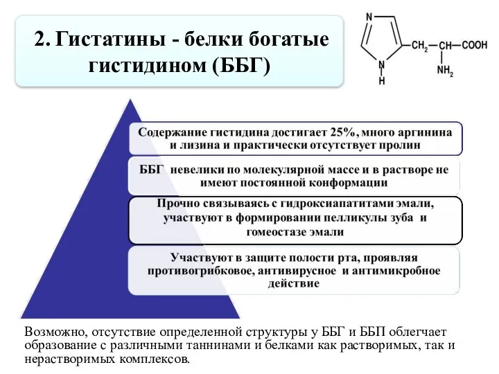 2. Гистатины - белки богатые гистидином (ББГ) Возможно, отсутствие определенной структуры у