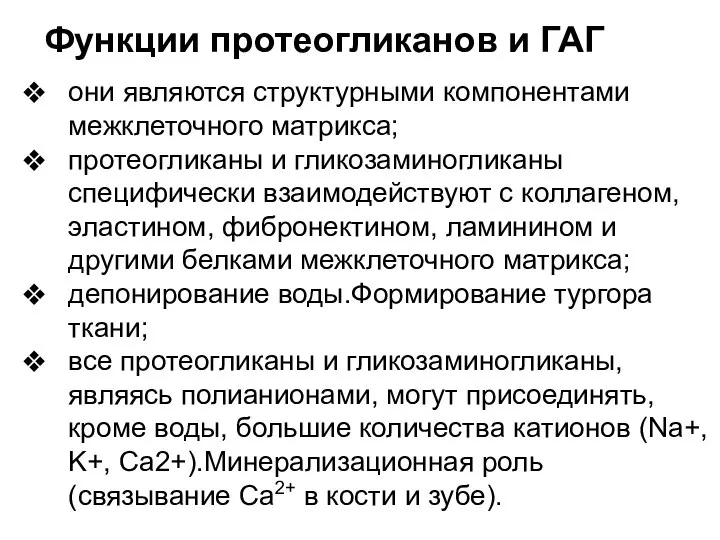 Функции протеогликанов и ГАГ они являются структурными компонентами межклеточного матрикса; протеогликаны и