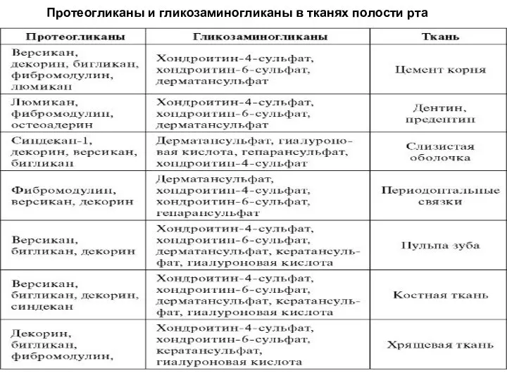 Протеогликаны и гликозаминогликаны в тканях полости рта