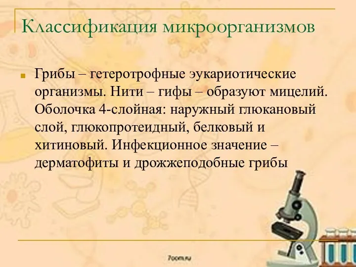 Классификация микроорганизмов Грибы – гетеротрофные эукариотические организмы. Нити – гифы – образуют