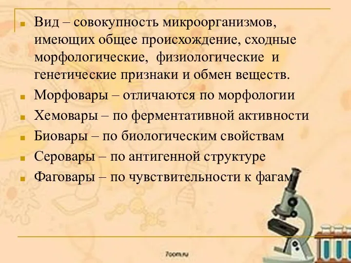 Вид – совокупность микроорганизмов, имеющих общее происхождение, сходные морфологические, физиологические и генетические