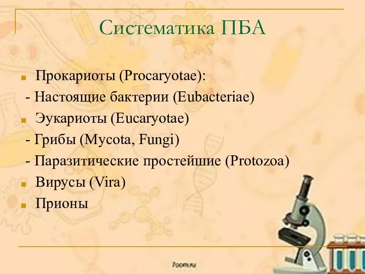 Систематика ПБА Прокариоты (Procaryotae): - Настоящие бактерии (Eubacteriae) Эукариоты (Eucaryotae) - Грибы