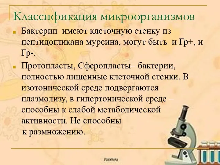 Классификация микроорганизмов Бактерии имеют клеточную стенку из пептидогликана муреина, могут быть и