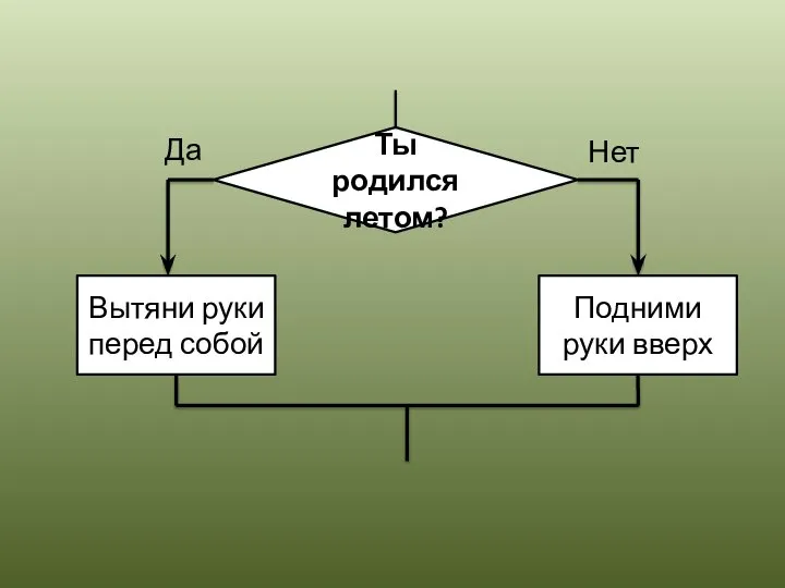 Ты родился летом? Вытяни руки перед собой Подними руки вверх Да Нет