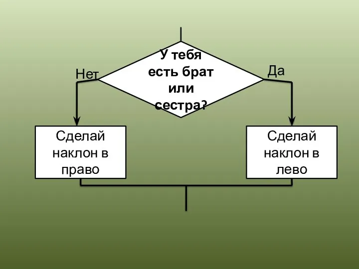 У тебя есть брат или сестра? Сделай наклон в право Сделай наклон в лево Да Нет