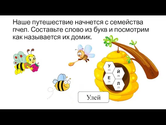 Наше путешествие начнется с семейства пчел. Составьте слово из букв и посмотрим