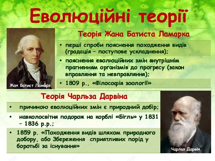 Еволюційні теорії Жан Батист Ламарк Чарльз Дарвін