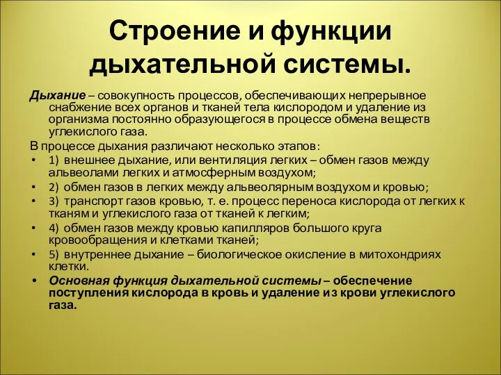 Строение и функции дыхательной системы. Дыхание – совокупность процессов, обеспечивающих непрерывное снабжение