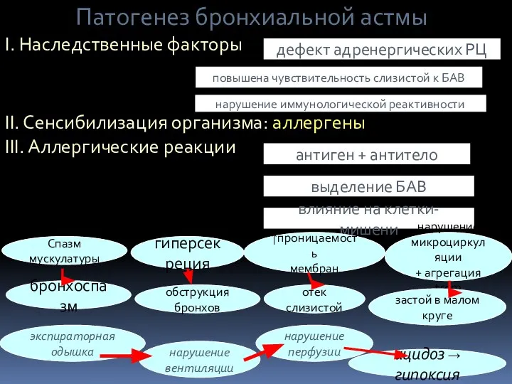 Патогенез бронхиальной астмы І. Наследственные факторы ІІ. Сенсибилизация организма: аллергены ІІІ. Аллергические