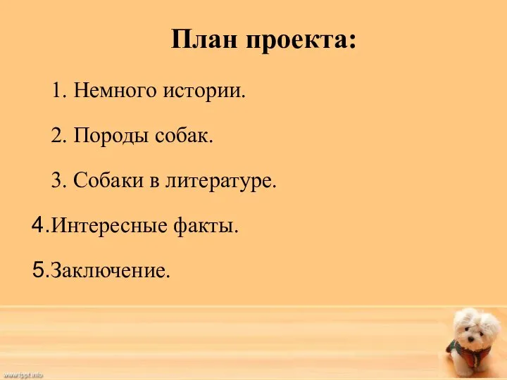 План проекта: 1. Немного истории. 2. Породы собак. 3. Собаки в литературе. Интересные факты. Заключение.