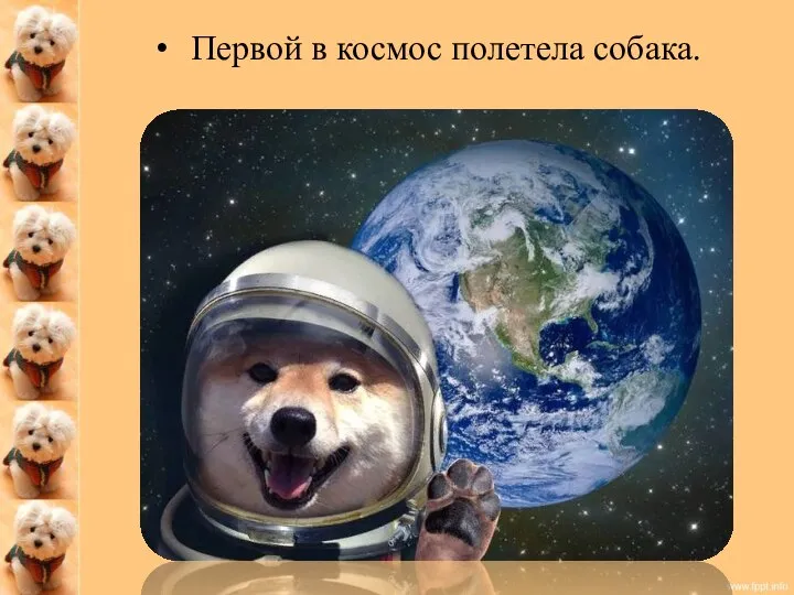 Первой в космос полетела собака.