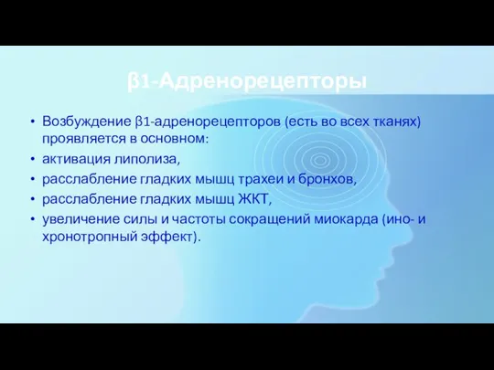 β1-Адренорецепторы Возбуждение β1-адренорецепторов (есть во всех тканях) проявляется в основном: активация липолиза,