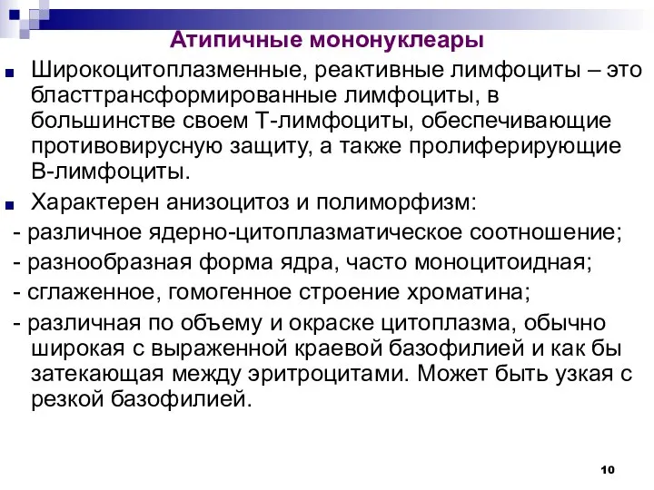 Атипичные мононуклеары Широкоцитоплазменные, реактивные лимфоциты – это бласттрансформированные лимфоциты, в большинстве своем