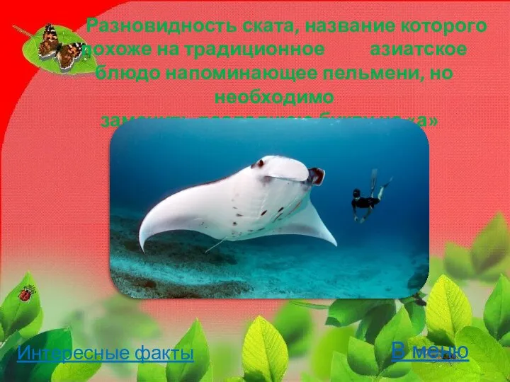 Разновидность ската, название которого похоже на традиционное азиатское блюдо напоминающее пельмени, но