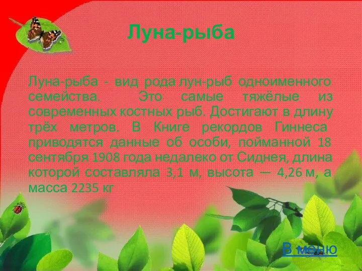 Луна-рыба Луна-рыба - вид рода лун-рыб одноименного семейства. Это самые тяжёлые из