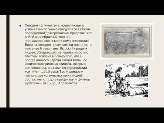 Сегодня наличие гена, позволяющего усваивать молочные продукты без тяжких последствий для организма,