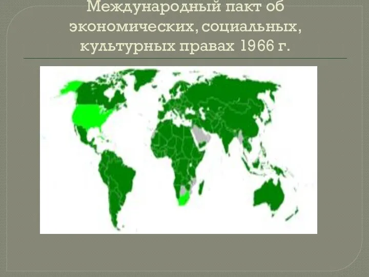 Международный пакт об экономических, социальных, культурных правах 1966 г.