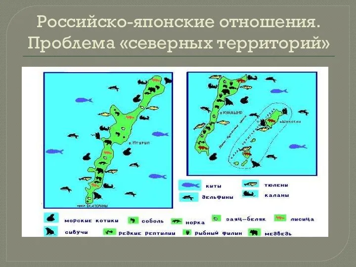 Российско-японские отношения. Проблема «северных территорий»