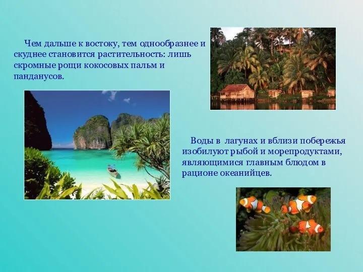 Чем дальше к востоку, тем однообразнее и скуднее становится растительность: лишь скромные