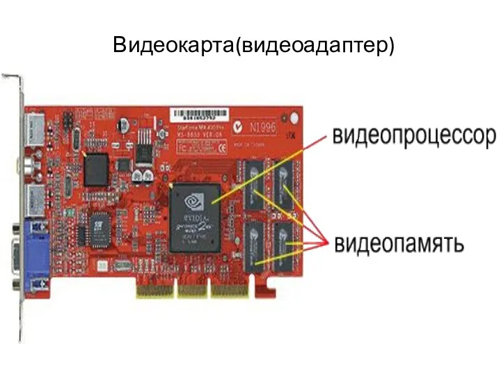 Видеокарта(видеоадаптер)