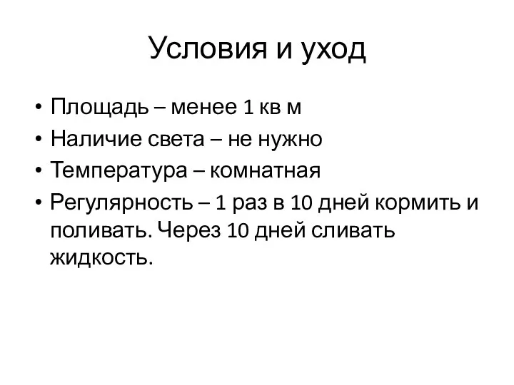 Условия и уход Площадь – менее 1 кв м Наличие света –