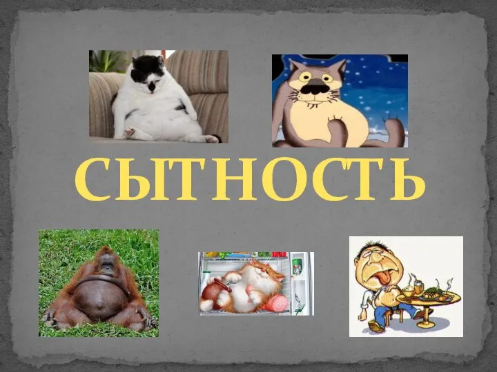 СЫТНОСТЬ