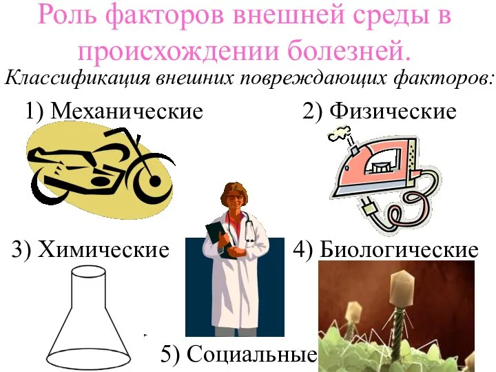 Роль факторов внешней среды в происхождении болезней. Классификация внешних повреждающих факторов: 1)