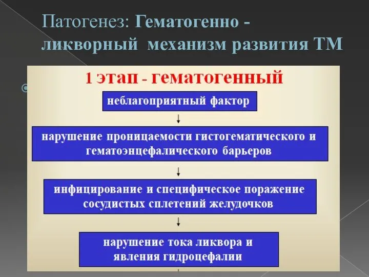 Патогенез: Гематогенно - ликворный механизм развития ТМ .