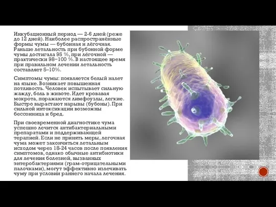 Инкубационный период — 2-6 дней (реже до 12 дней). Наиболее распространённые формы